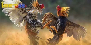 Tổng quan về game đá gà 88 siêu hấp dẫn